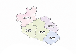 세종특별시 상권분석